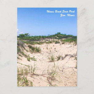 Illinois Beach State Park Briefkaart
