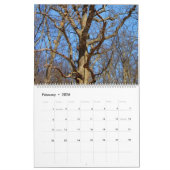 Illinois Beauty 2025 Calendrier (Feb 2026)