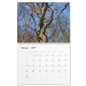 Illinois Beauty 2025 Kalender (Feb 2027)