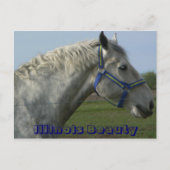 Illinois Beauty Briefkaart (Voorkant)