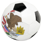 Illinois Flag Voetbal (Drie kwart)