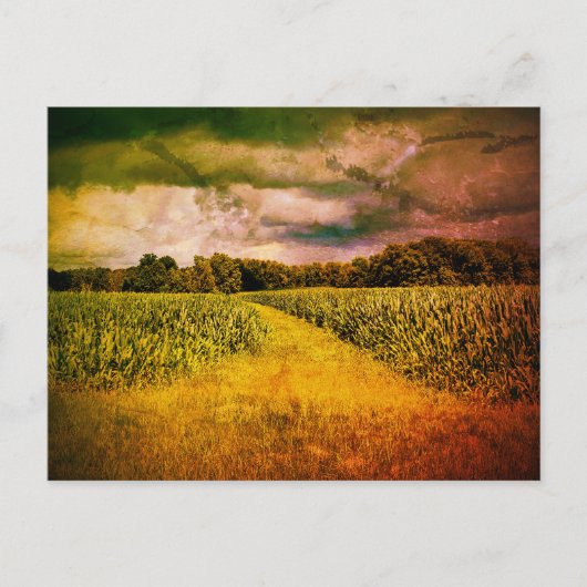 Illinois Landschapsfoto Briefkaart (Voorkant)