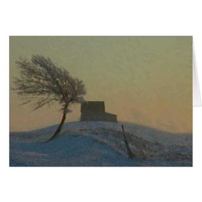 Illinois Snow Storm (Voorkant Horizontaal)