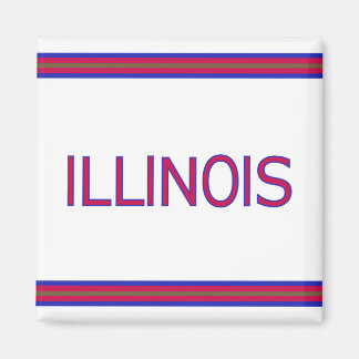 Illinois Square Magnet Magneet