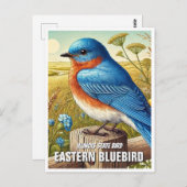 Illinois State Bird Eastern Bluebird Briefkaart (Voorkant / Achterkant)