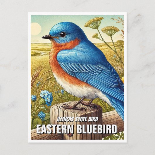 Illinois State Bird Eastern Bluebird Briefkaart (Voorkant)