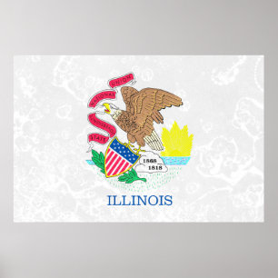 Illinois State Flag Grunge Poster