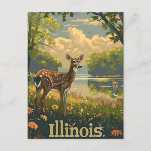 Illinois witstaarthert briefkaart