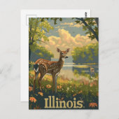 Illinois witstaarthert briefkaart (Voorkant / Achterkant)
