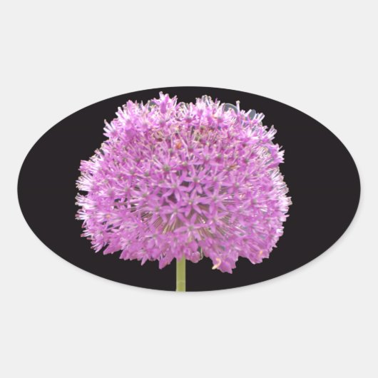 Illium Summer Spring Flower - Irish Design Ovale Sticker (Voorkant)