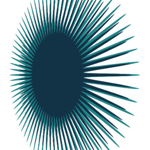 Illusie Egel Minimalistische Abstracte T-Shirt O
