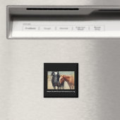 Illusie & Rush Magneet (Insitu (Vaatwasser))