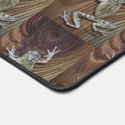 Illusion de la grenouille (Coin)