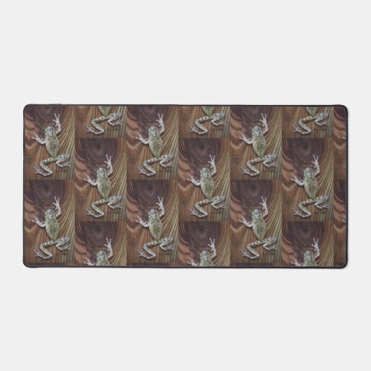 Illusion de la grenouille (Recto)