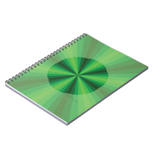 Illusion optique Cahier vert (Côté gauche)