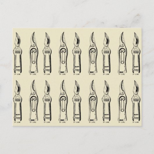 ILLUSTRATIE-afwasmachines Pruners 2 Briefkaart (Voorkant)