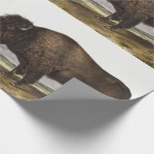 Illustratie Amerikaanse Bison (Bos Americanus) Cadeaupapier (Hoek)