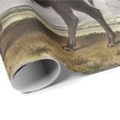 Illustratie Amerikaanse Bison (Bos Americanus) Cadeaupapier (Rol Hoek)