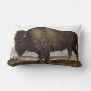 Illustratie Amerikaanse Bison (Bos Americanus) Kussen