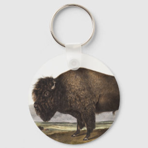 Illustratie Amerikaanse Bison (Bos Americanus) Sleutelhanger