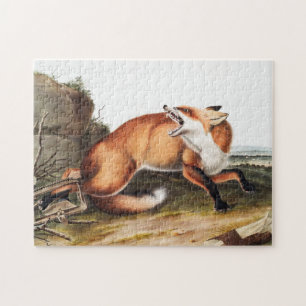 Illustratie Amerikaanse rode vos (Vulpes Fulvus) Legpuzzel