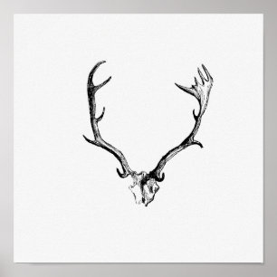 Illustratie  Antlers Poster