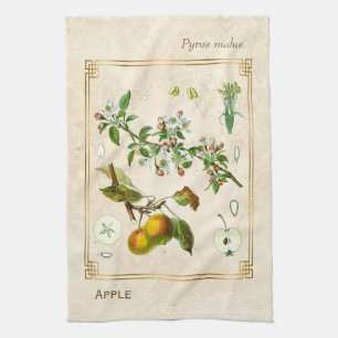 illustratie Apple Fruit Botanical Floral Theedoek