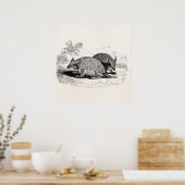  illustratie Armadillo Retro Armadillos Poster (Keuken)