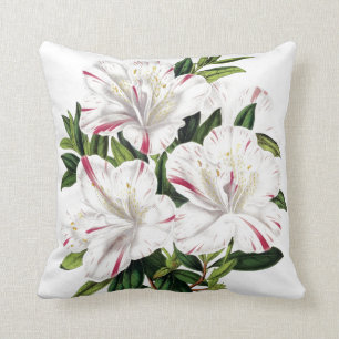 illustratie Azaleas Kussen