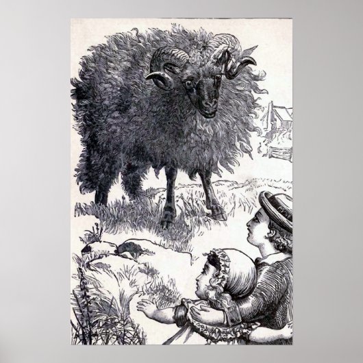 illustratie "Baa Baa Black Sheep" Poster (Voorkant)