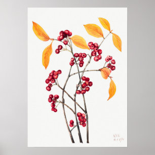 Illustratie bergas poster