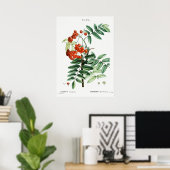 Illustratie  bergas poster (Thuiskantoor)