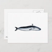 Illustratie blauwe walvis (pouting) briefkaart (Voorkant / Achterkant)