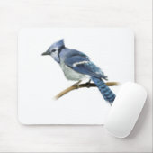 Illustratie Bluejay Muismat (Met muis)