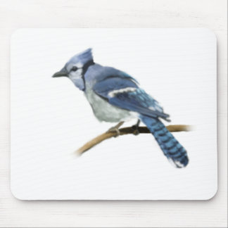 Illustratie Bluejay Muismat