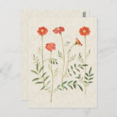 illustratie Botanische marges Briefkaart (Voorkant / Achterkant)