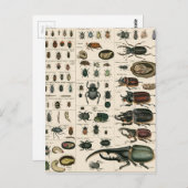 Illustratie  bundel briefkaart (Voorkant / Achterkant)