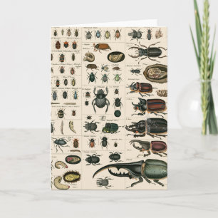 Illustratie  bundel kaart