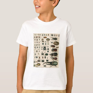 Illustratie  bundel t-shirt
