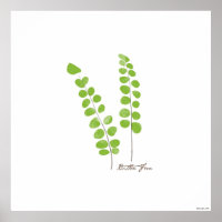 Illustratie Button Fern | Fantasiekafdruk van fern