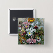 Illustratie Button Haeckel Orchid Study (Voorkant /achterkant)
