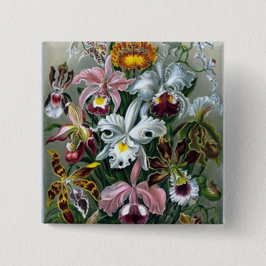Illustratie Button Haeckel Orchid Study (Voorkant)