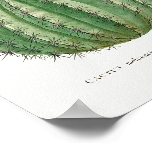Illustratie Cactus Poster (Hoek)