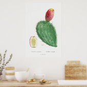 Illustratie Cactus Poster (Keuken)