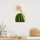 Illustratie Cactus Poster (Keuken)