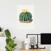 Illustratie  Cactus Poster (Thuiskantoor)