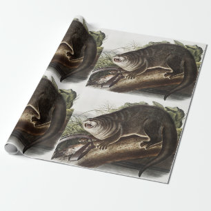 Illustratie Canada Otter (Lutra Canadensis) Cadeaupapier