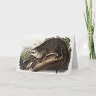 Illustratie Canada Otter (Lutra Canadensis) Kaart