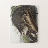 Illustratie Canada Otter (Lutra Canadensis) Legpuzzel (Verticaal)