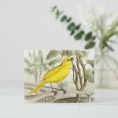 Illustratie Canarische Vintage Briefkaart (Staand voorkant)